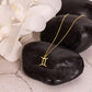Gemini (May 21-June 20) Zodiac Sign / Symbol Necklace